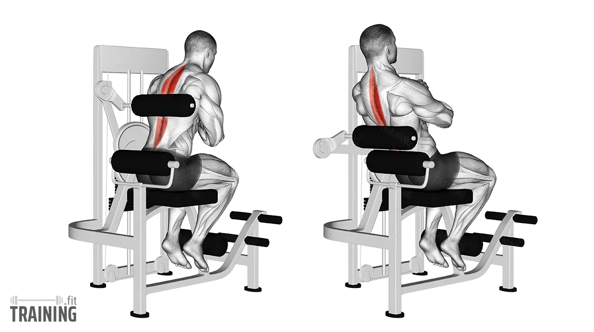 دستگاه فیله کمر برای چی خوبه؟