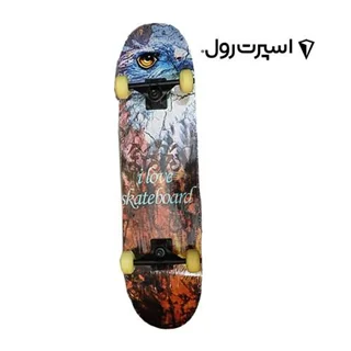 اسکیت برد حرفه ای طرح عقاب Skateboard Eagle