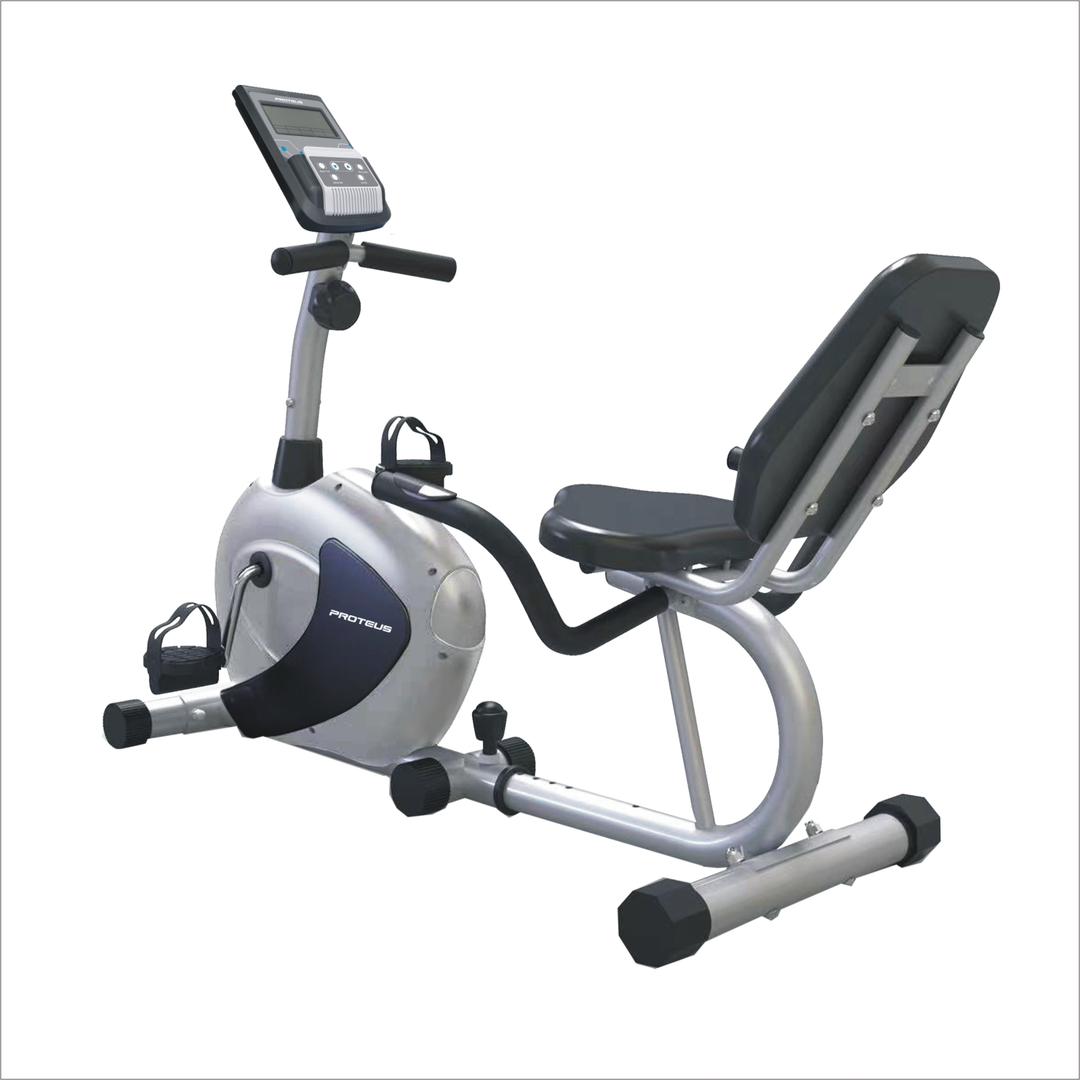 دوچرخه ثابت پروتئوس طوسی مدل Nuvola R3 series B&W